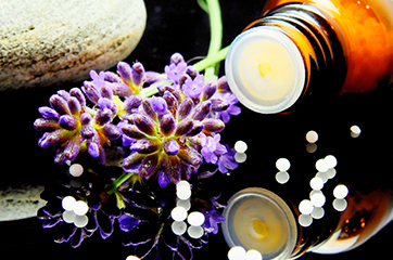 Fitoterapia – plantas medicinales